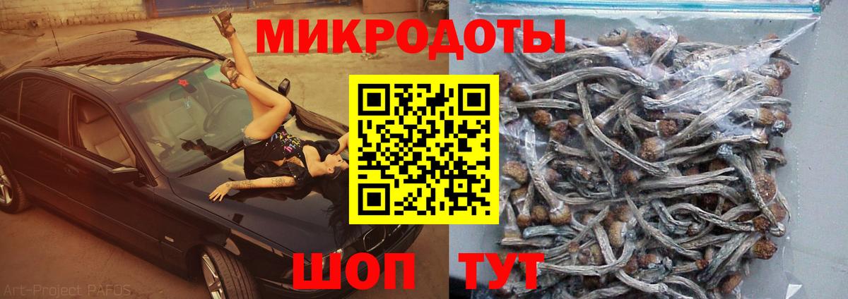 Галлюциногенные грибы Psilocybe  цены наркотик  Обь  Вход с VPN 