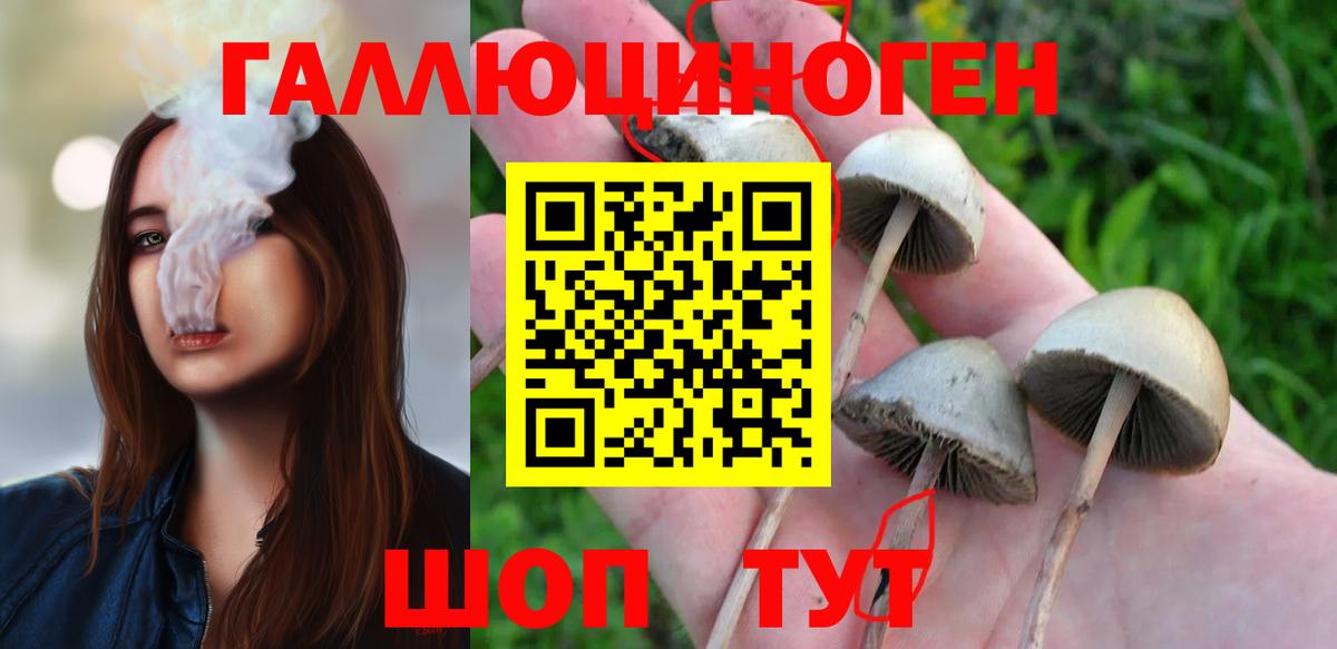 Галлюциногенные грибы прущие грибы Обь